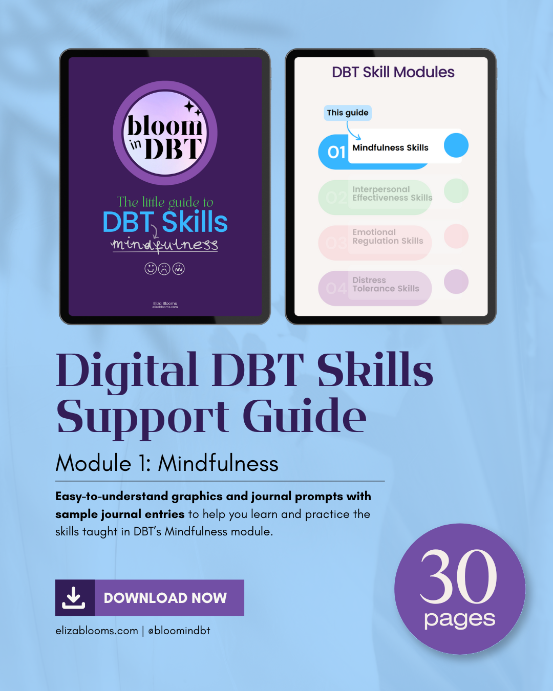 Little Guide To DBT Mindfulness Skills: 30 Page E-Book [With Journal P ...