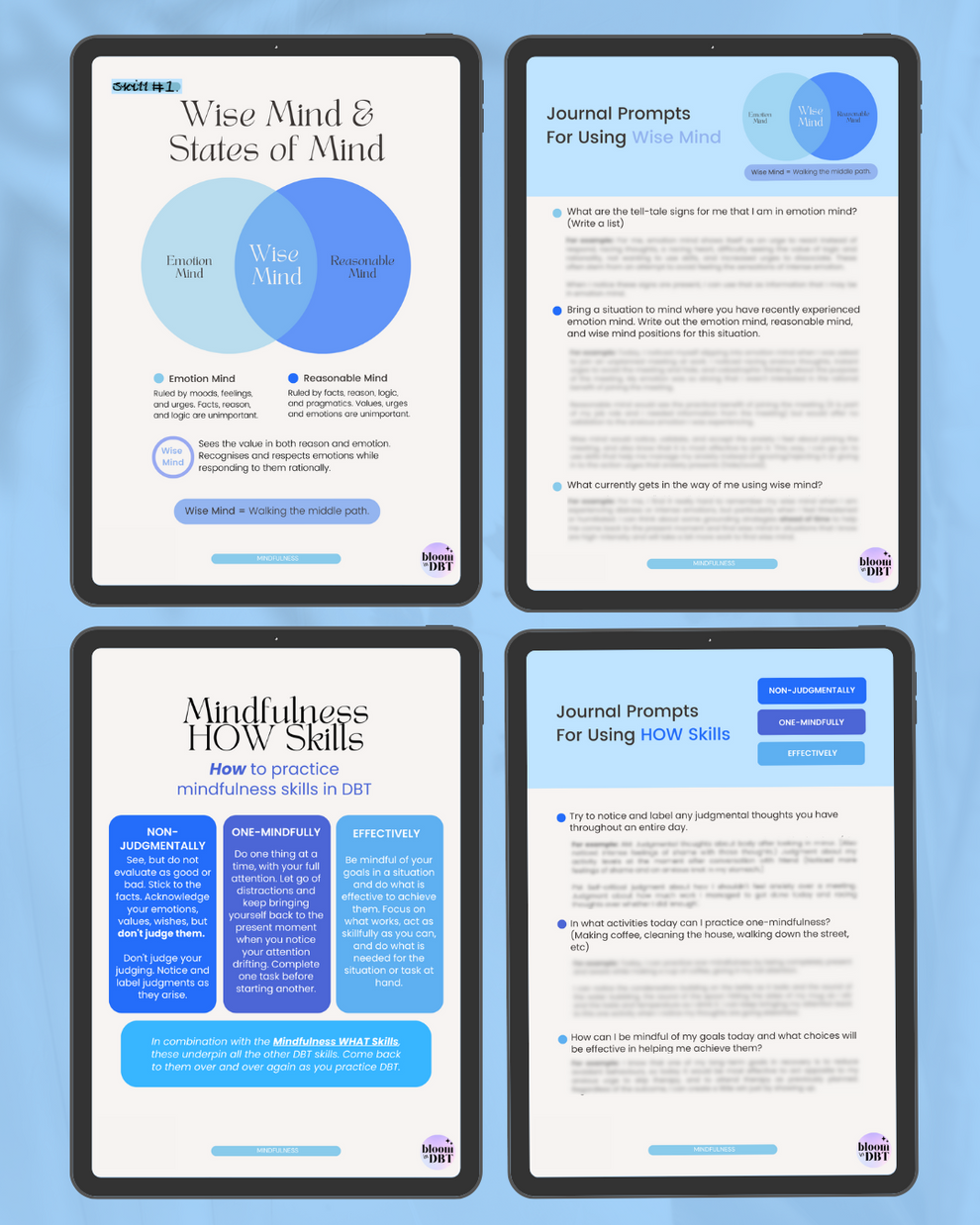 Little Guide To DBT Mindfulness Skills: 30 Page E-Book [With Journal P ...