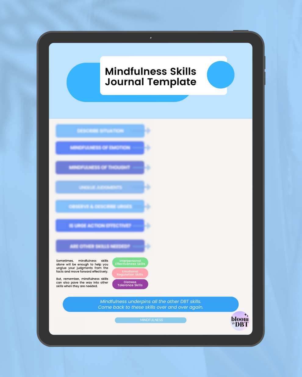 Little Guide To DBT Mindfulness Skills: 30 Page E-Book [With Journal P ...