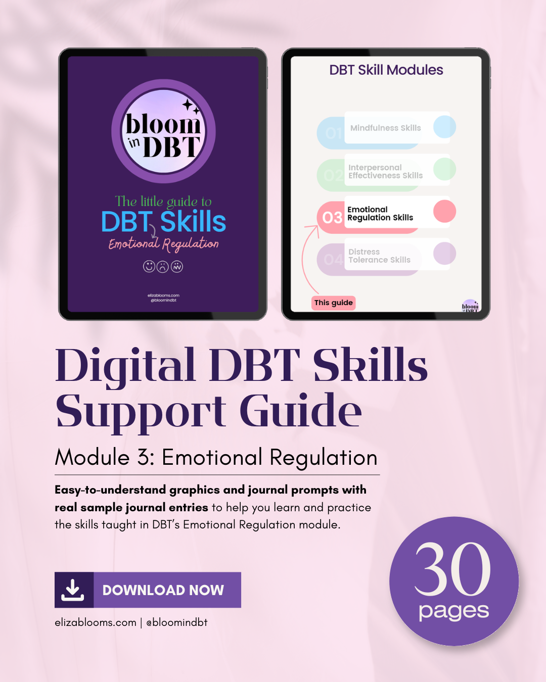 Little Guide To DBT Emotional Regulation Skills: 30 Page E-Book [With Journal Prompts & Templates]