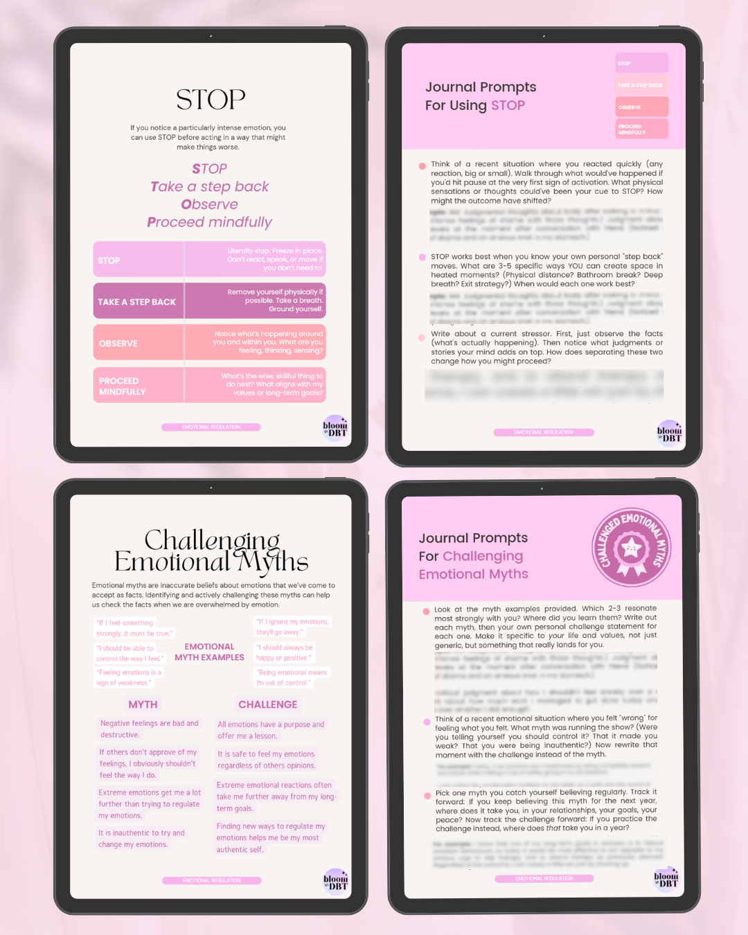Little Guide To DBT Emotional Regulation Skills: 30 Page E-Book [With Journal Prompts & Templates]